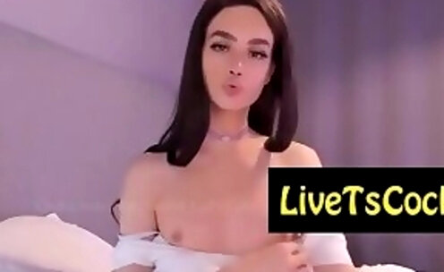 sexy transsexual whore teasing on live webcam live part