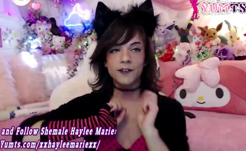 18yo petite trans kittie webcams solo
