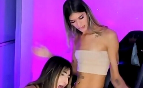 Sexy Latina Babe Sucking Pretty Trans Cock