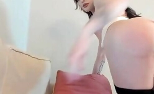 slim tattooed tgirl in fishnet stockings strokes her dick on webcam